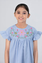 Girls Top (2-4 Years)