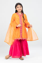 Princess Ethnic Partywear Set (6-8 Years)