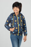 Boys Hoody (2-4 Years)