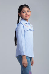 Girls Top (2-4 Years)