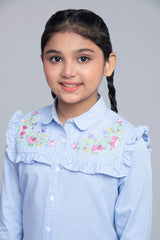 Girls Top (2-4 Years)