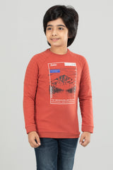 Boys T-Shirt (6-8 Years)