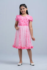 Girls Dress (2-4 Years)