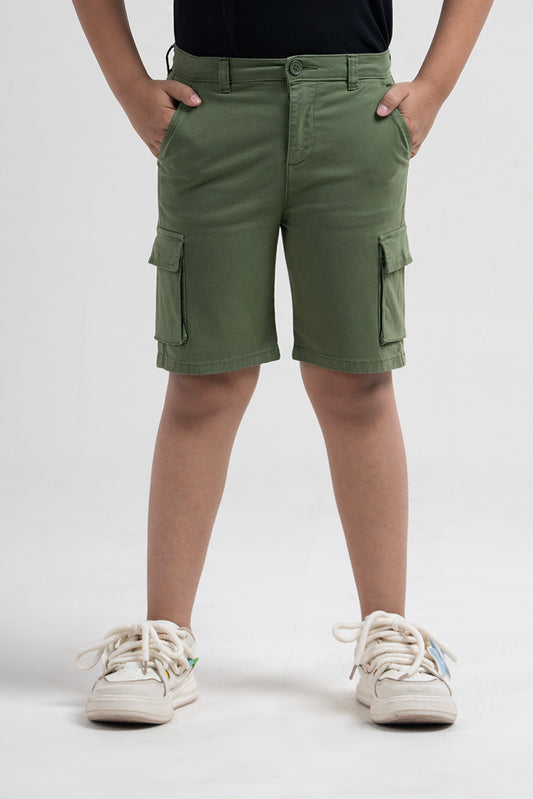 Boys Short Pant (2-4 Years)