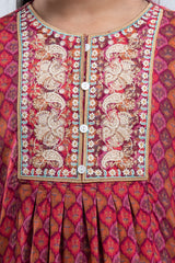 Girls Ethnic Tops (2-4 Years)