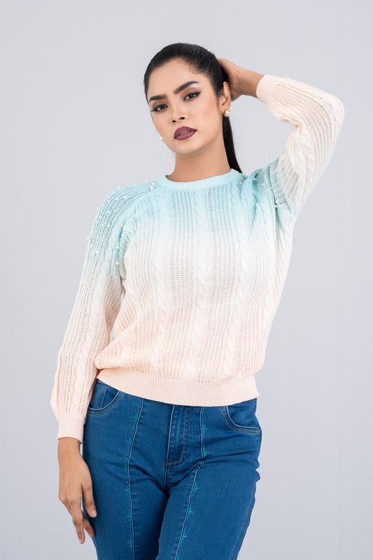 Regular Fit Embroidered Pullover Sweater