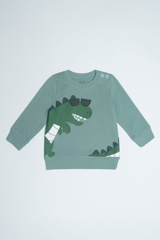 New Born Boys Sweatshirt (0-6 Months)