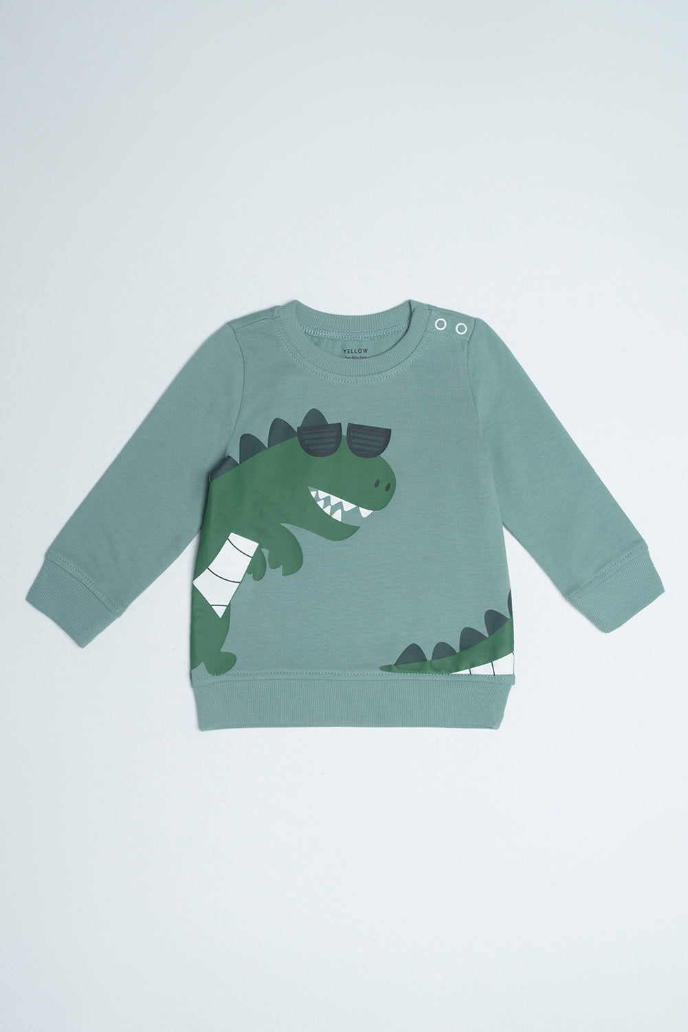 New Born Boys Sweatshirt (6-18 Months)