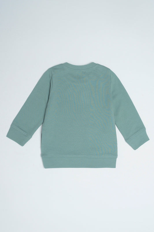 New Born Boys Sweatshirt (6-18 Months)