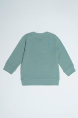 New Born Boys Sweatshirt (6-18 Months)