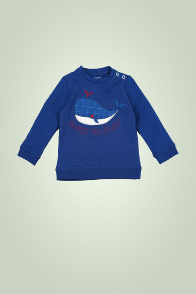 New Born Boys Sweatshirt (6-18 Months)