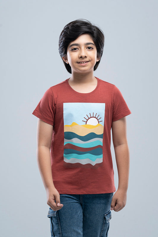 Boys T-Shirt (2-4 Years)